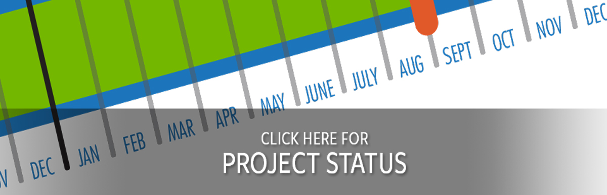 Project Status